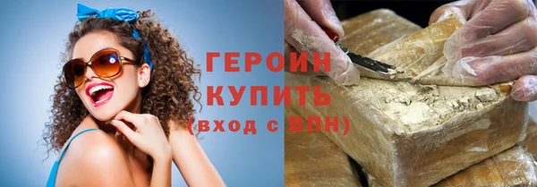 хмурый Пересвет