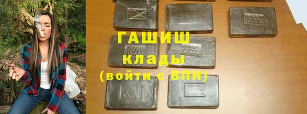 хмурый Пересвет