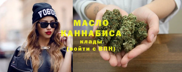 хмурый Пересвет