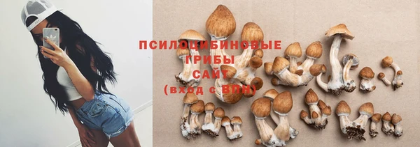 первитин Устюжна