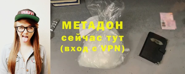 хмурый Пересвет