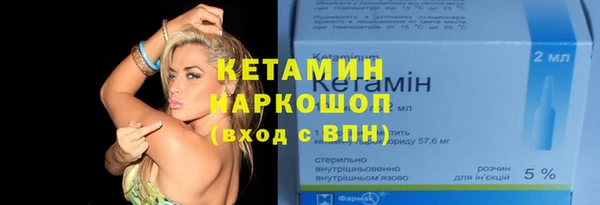хмурый Пересвет