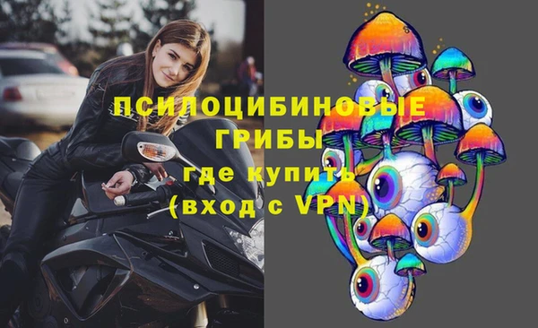 хмурый Пересвет