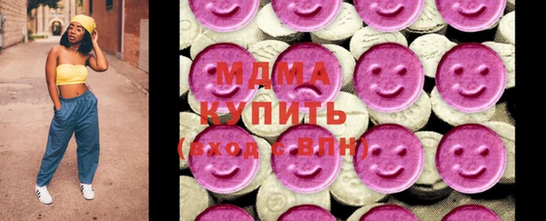 хмурый Пересвет