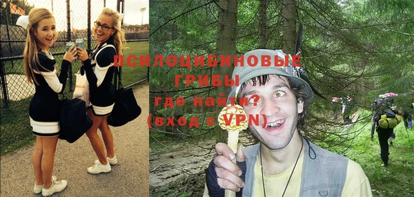 хмурый Пересвет