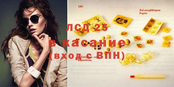 хмурый Пересвет