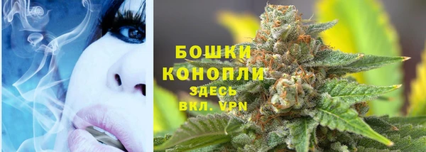 сатива Пестово