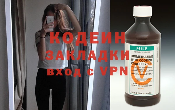 хмурый Пересвет